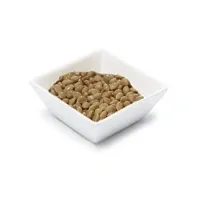 ارزن درشت مقدار 100 گرم