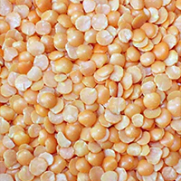 bigbag_دالعدسفلهمقدار500گرم_109799.jpg
