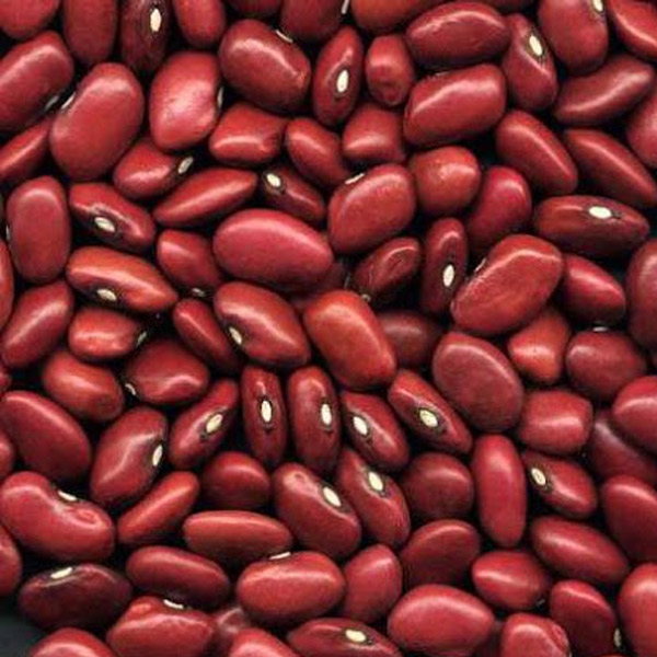 لوبیا قرمز فله مقدار 500 گرم