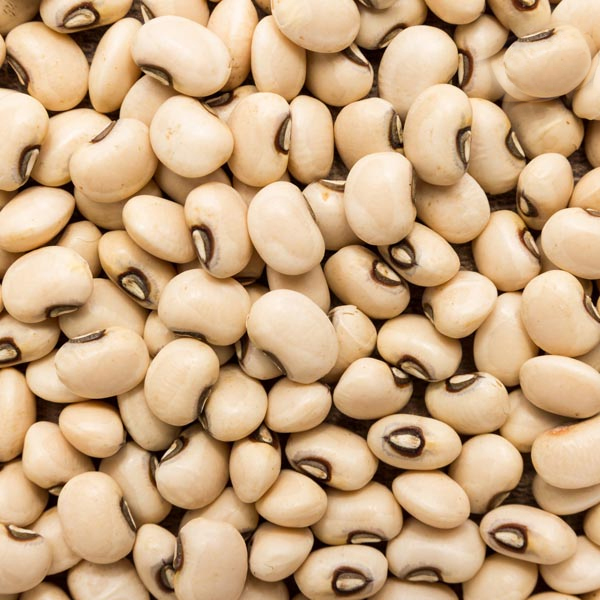 لوبیا چشم بلبلی مقدار 500 گرم