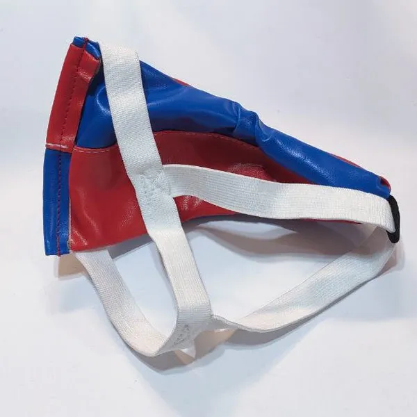 bigbag_بیضهبندورزشیتکواندودایدوdaedo(کاپبیضه)_90022.webp