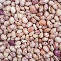 لوبیا چیتی فله مقدار 250 گرم
