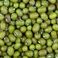 ماش فله مقدار 250 گرم