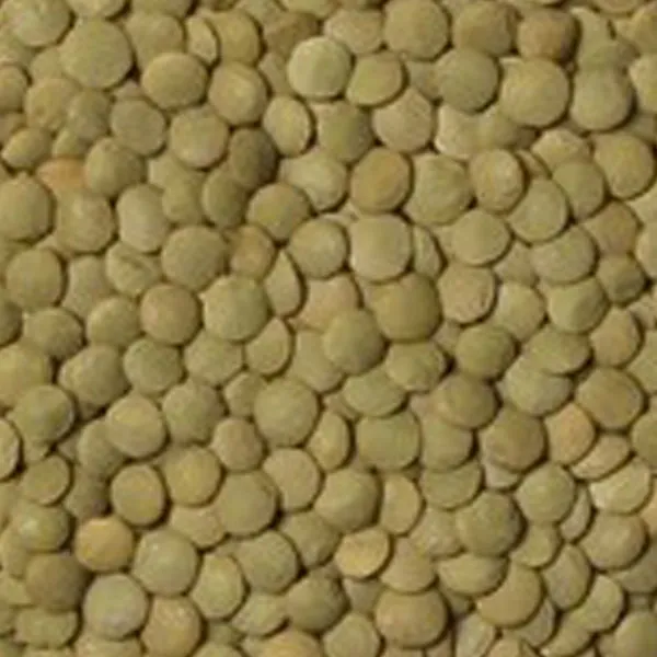 bigbag_عدسدرشتفلهمقدار250گرم_89399.webp