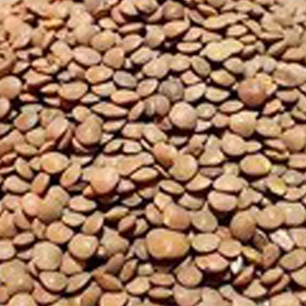 bigbag_عدسریزفلهمقدار250گرم_89393.webp