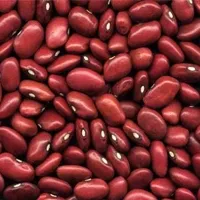 لوبیا قرمز فله مقدار 500 گرم