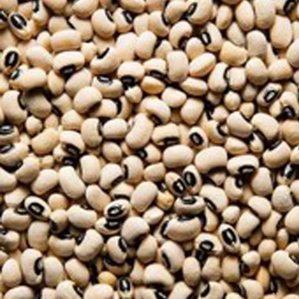 bigbag_لوبیاچشمبلبلیفلهمقدار500گرم_89377.webp
