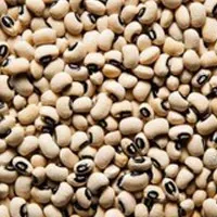 لوبیا چشم بلبلی فله مقدار 250 گرم