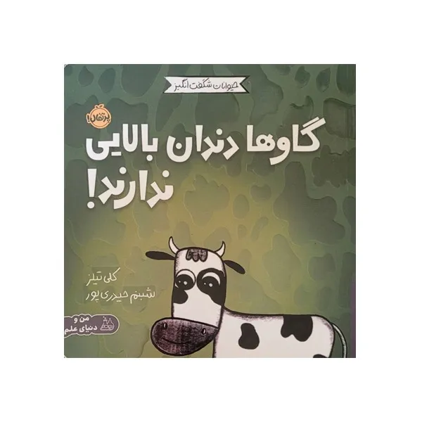 bigbag_کتابگاوهادندانبالاییندارند_88892.webp