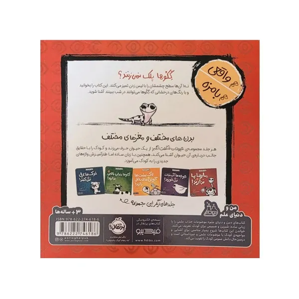 bigbag_کتابگکوهاپلکنمی‌زنند_88905.webp